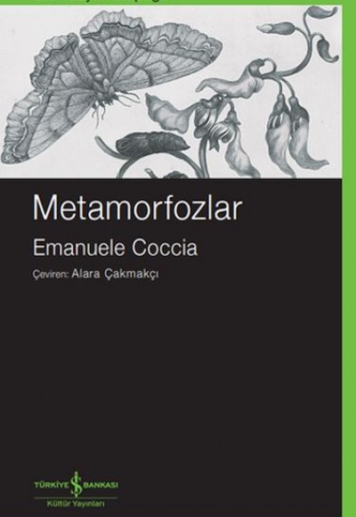 Metamorfozlar