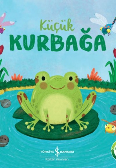 Küçük Kurbağa