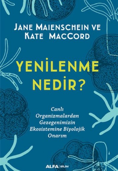 Yenilenme Nedir?