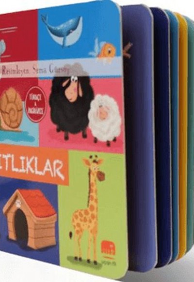 Zıtlıklar