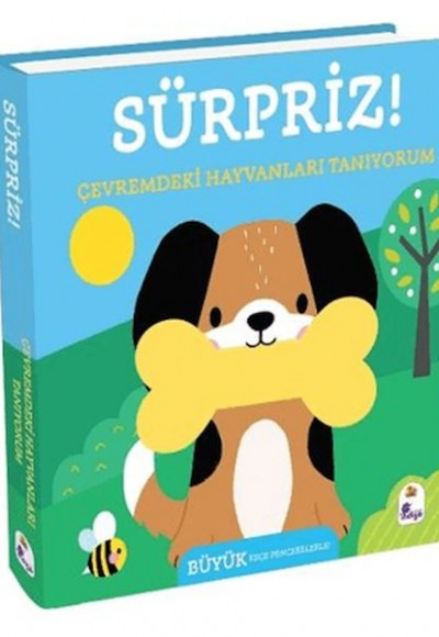 Sürpriz! - Çevremdeki Hayvanları Tanıyorum