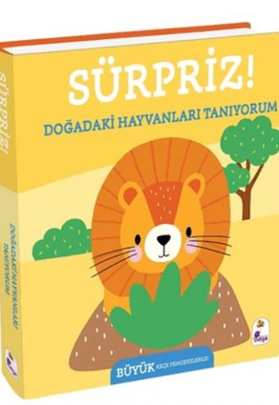 Sürpriz! - Doğadaki Hayvanları Tanıyorum
