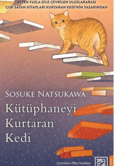 Kütüphaneyi Kurtaran Kedi