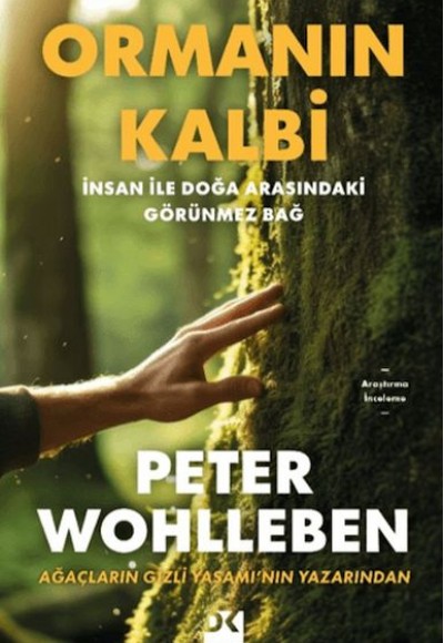 Ormanın Kalbi Ormanın Kalbi