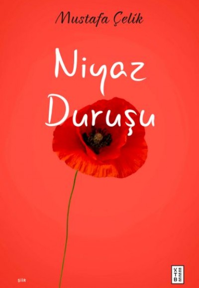 Niyaz Duruşu