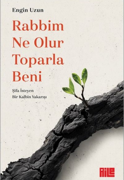 Rabbim Ne Olur Toparla Beni Rabbim Ne Olur Toparla Beni