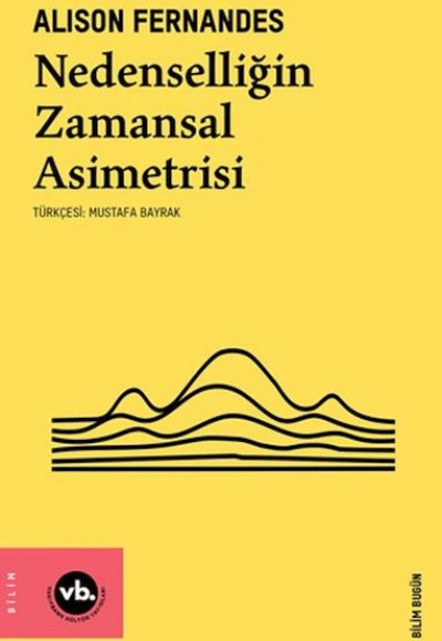 Nedenselliğin Zamansal Asimetrisi