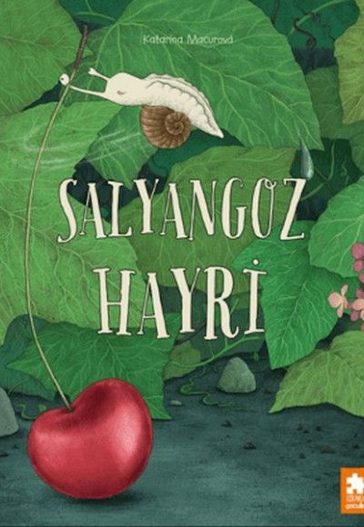 Salyangoz Hayri