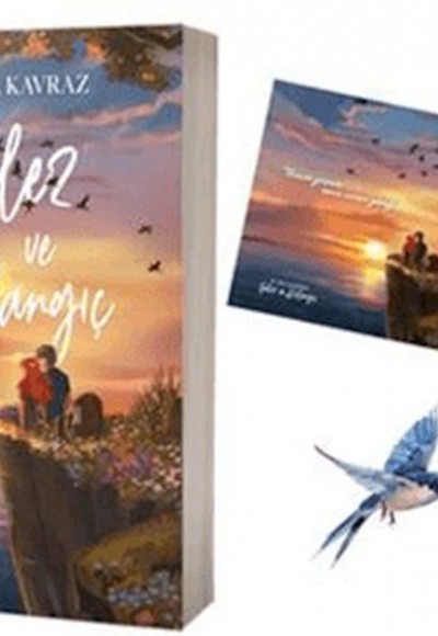 Falez ve Kırlangıç