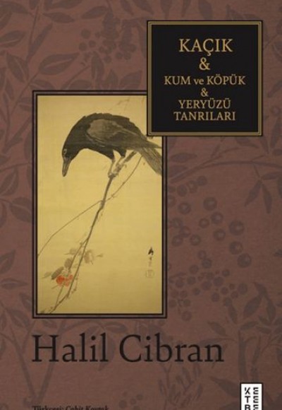 Kaçık & Kum ve Köpük & Yeryüzü Tanrıları