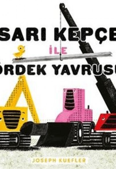 Sarı Kepçe ile Ördek Yavrusu