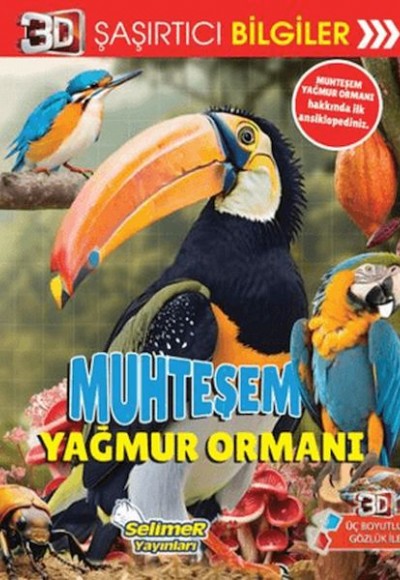 3D Şaşırtıcı Bilgiler - Muhteşem Yağmur Ormanı