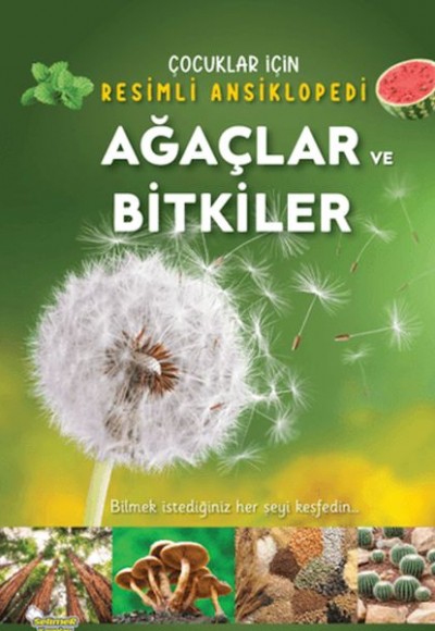 Ağaçlar ve Bitkiler Ağaçlar ve Bitkiler