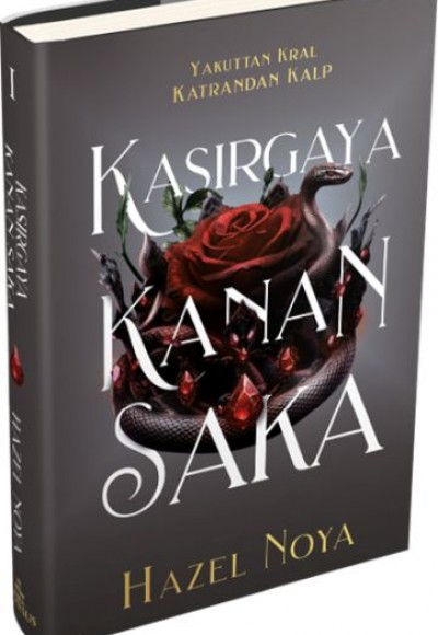 Kasırgaya Kanan Saka 1 (Ciltli)