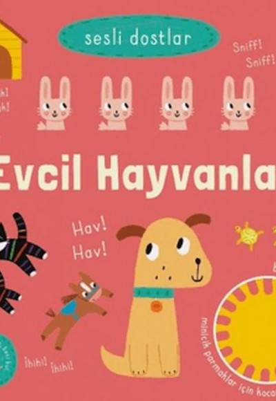 Sesli Dostlar - Evcil Hayvanlar (Sesli Kitap)