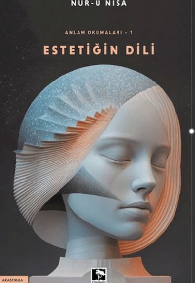 Anlam Okumaları/Estetiğin Dili -1