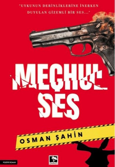Meçhul Ses