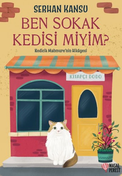 Ben Sokak Kedisi Miyim?