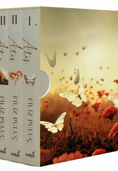 Ateş Serisi - 3 Kitap (Kutulu) Ateş Serisi - 3 Kitap (Kutulu)