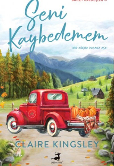 Seni Kaybedemem