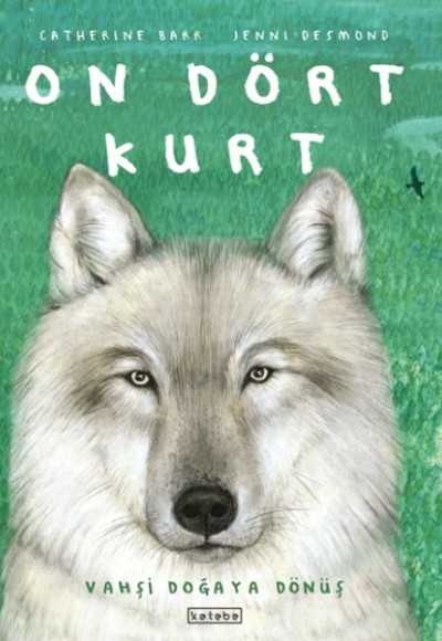 On Dört Kurt