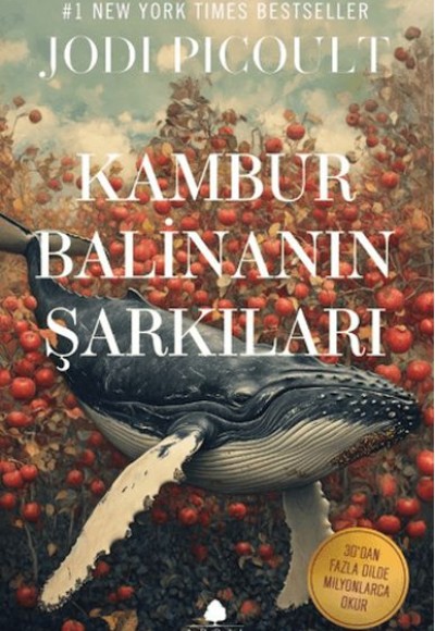 Kambur Balinanın Şarkıları