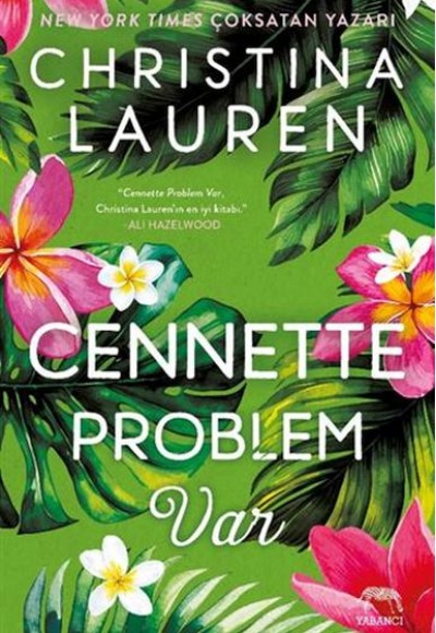 Cennette Problem Var