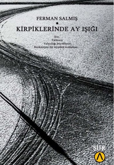 Kirpiklerinde Ay Işığı