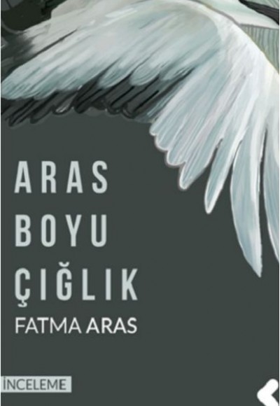 Aras Boyu Çığlık