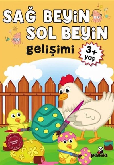 3 Yaş Sağ Beyin-Sol Beyin Gelişimi