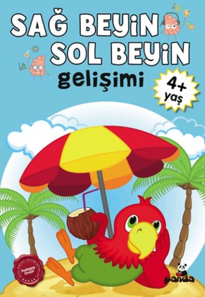 Sağ Beyin-Sol Beyin Gelişimi 4+ Yaş    
