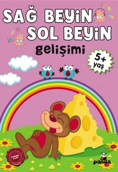 5 Yaş Sağ Beyin-Sol Beyin Gelişimi