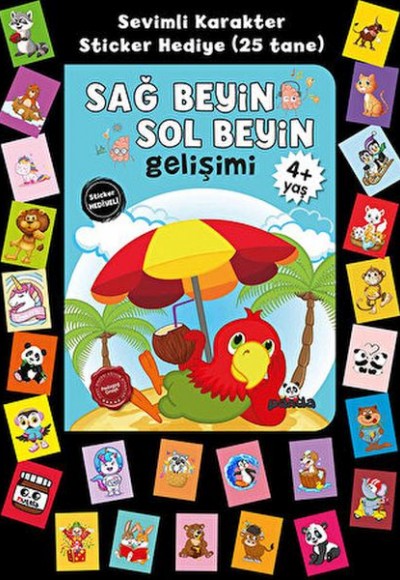 Stickerlı 4+ Yaş Sağ Beyin Sol Beyin Gelişim