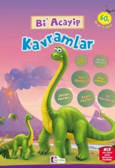 Bi Acayip Kavramlar