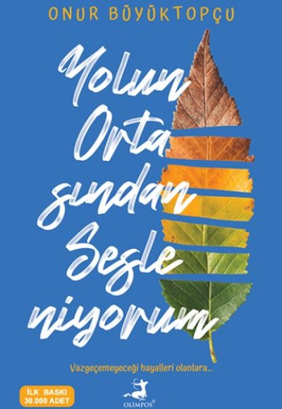 Yolun Ortasından Sesleniyorum