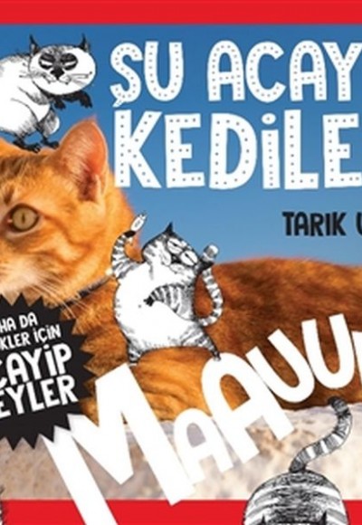 Daha Küçükler İçin Şu Acayip Kediler