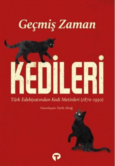 Geçmiş Zaman Kedileri