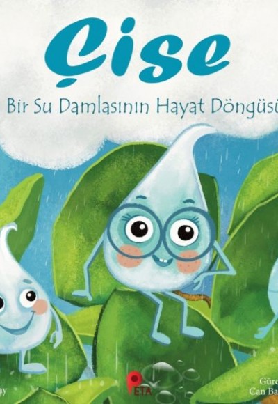 Çise: Bir Su Damlasının Hayat Döngüsü