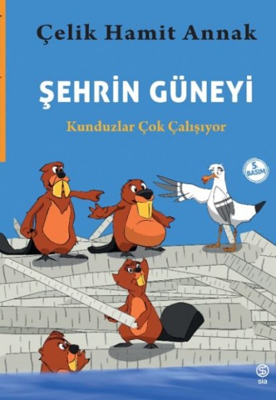 Şehrin Güneyi - Kunduzlar Çok Çalışıyor-Meraklı Martılar ve Çevremiz 2. Kitap