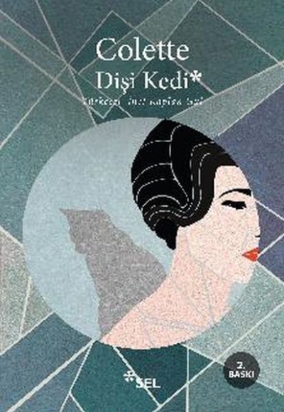 Dişi Kedi