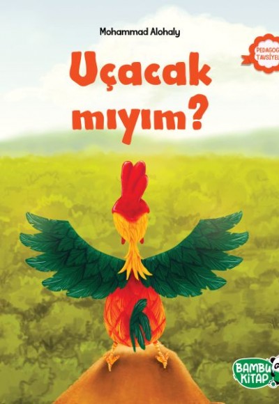 Uçacak mıyım?