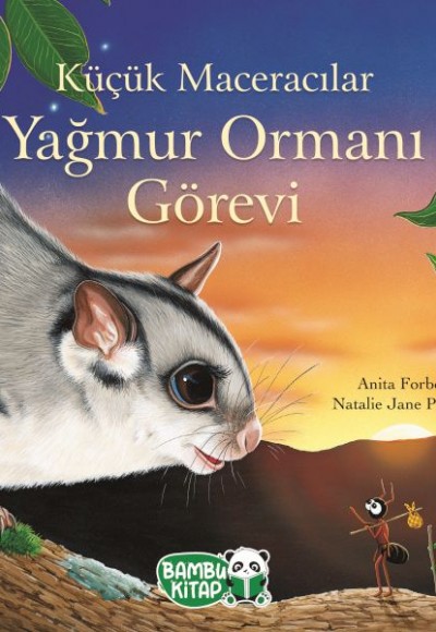 Küçük Maceracılar - Yağmur Ormanı Görevi