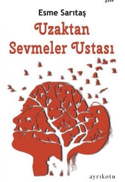 Uzaktan Sevmeler Ustası