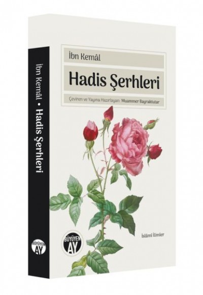 Hadis Şerhleri