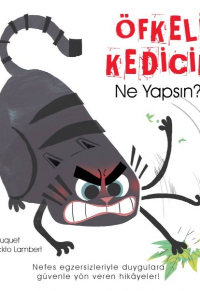 Öfkeli Kedicik Ne Yapsın?