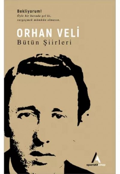 Orhan Veli - Bütün Şiirleri