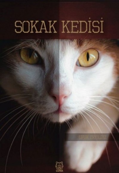 Sokak Kedisi