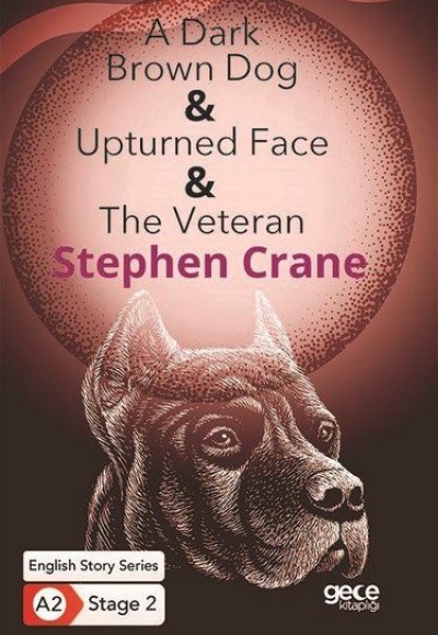 A Dark Brown Dog - Upturned Face - The Veteran - İngilizce Hikayeler A2 Stage 2