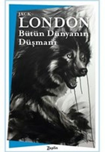 Bütün Dünyanın Düşmanı