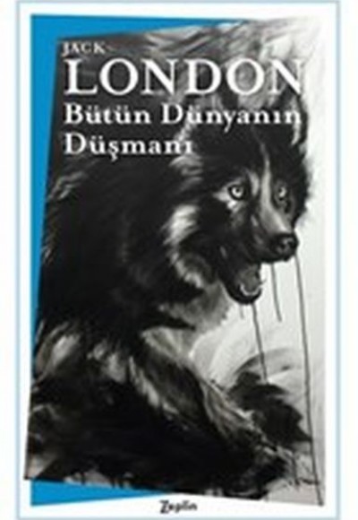 Bütün Dünyanın Düşmanı